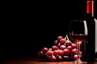 kak-zakrepit-vino-spirtom_mini-8081599