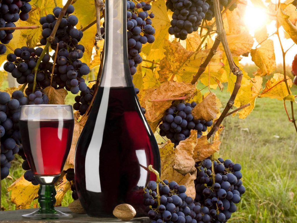Как приготовить вино из винограда в домашних условиях по простому рецепту