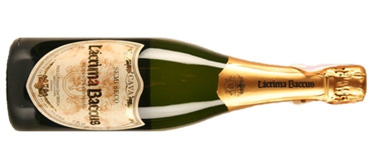 cava-shampanskoe-4-8195152