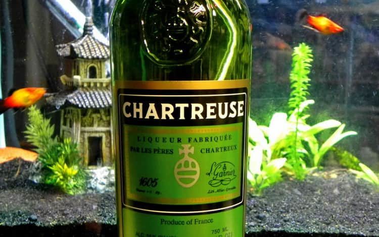 chartreuse-min-6444755