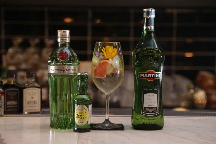 martini-ekstra-draj-9-5817371