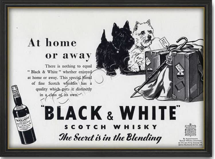 obzor-viski-black-and-white-9-1174036