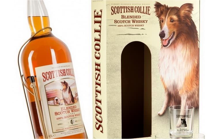 scottish-collie-viski-min-6122644