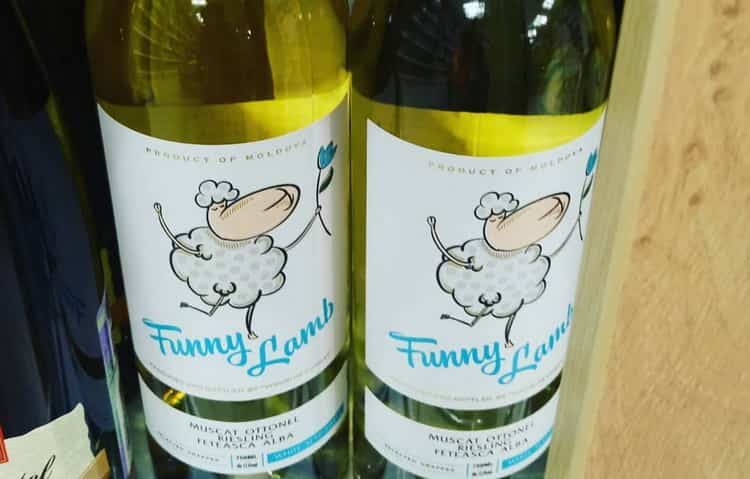 vino-funny-lamb-2-2415233