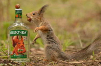 vodka-belochka-7793856
